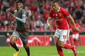 开云-s5总决赛完整视频回放